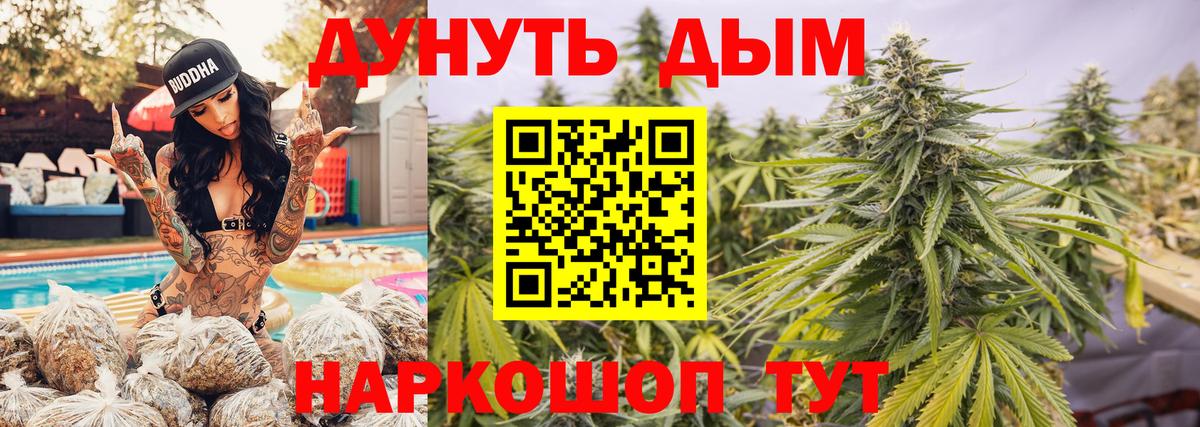 Конопля OG Kush Балашов